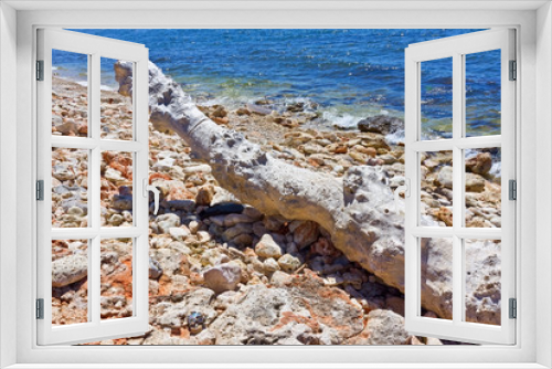 Fototapeta Naklejka Na Ścianę Okno 3D - Driftwood on the beach