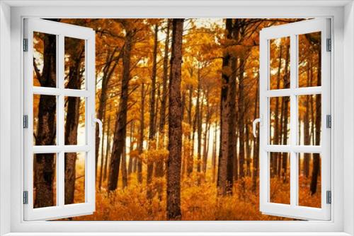 Fototapeta Naklejka Na Ścianę Okno 3D - Autumn scene