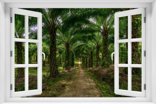 Fototapeta Naklejka Na Ścianę Okno 3D - indonesian industrial area, indonesian palm oil plantation