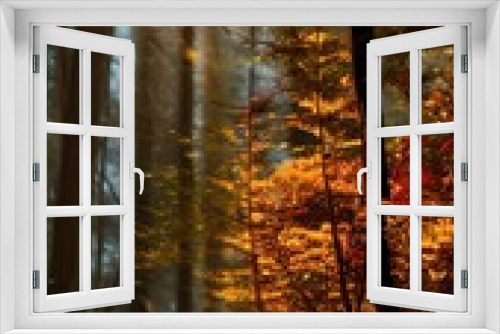 Fototapeta Naklejka Na Ścianę Okno 3D - Autumn Woods Walk X
