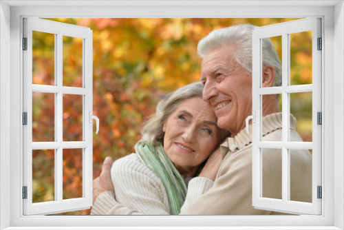 Nice elderly couple in a autumn park