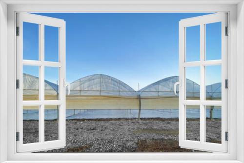 Fototapeta Naklejka Na Ścianę Okno 3D - Greenhouses closed to repair the sowing