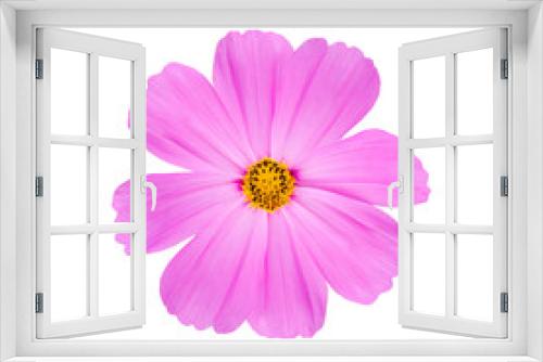 Fototapeta Naklejka Na Ścianę Okno 3D - pink cosmos