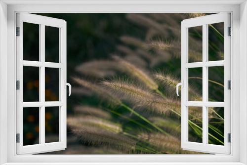 Fototapeta Naklejka Na Ścianę Okno 3D - grass in a field