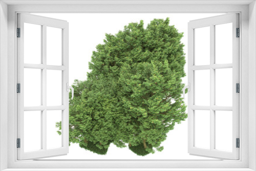 Fototapeta Naklejka Na Ścianę Okno 3D - Forest on transparent background. 3d rendering - illustration