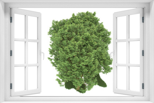 Fototapeta Naklejka Na Ścianę Okno 3D - Forest on transparent background. 3d rendering - illustration