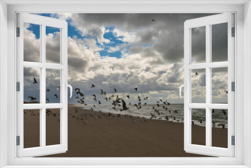 Fototapeta Naklejka Na Ścianę Okno 3D - Küste bei Camperduin in Nordholland
