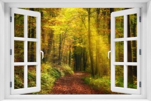 Fototapeta Naklejka Na Ścianę Okno 3D - Rays of light illuminating a footpath in a misty autumn forest and creating a natural arch, a tranquil panoramic landscape