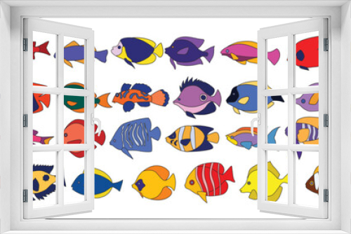Fototapeta Naklejka Na Ścianę Okno 3D - Tropical fish vector collection icon.Color illustration vector set icon isolated on white background tropical fish.