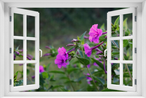 Fototapeta Naklejka Na Ścianę Okno 3D - maravillas de la naturalez 
