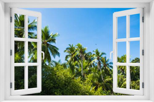 Fototapeta Naklejka Na Ścianę Okno 3D - palmeras2