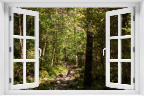 Fototapeta Naklejka Na Ścianę Okno 3D - Beautiful view through a green forest with sunlight, idyllic place on earth in the Spanish Pyrenees.