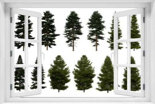 Fototapeta Naklejka Na Ścianę Okno 3D - 3d rendering of  Picea Rubens PNG vegetation tree for compositing or architectural use. No Backround. 