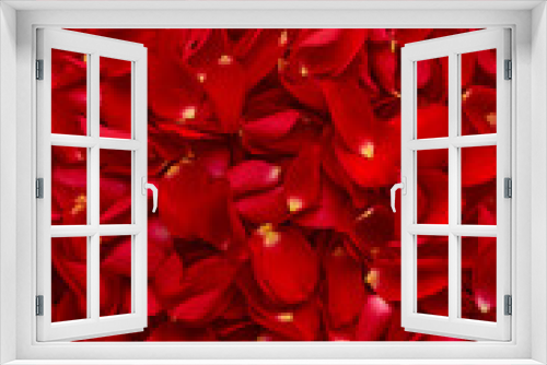 Abstract background of red roses petals texture. Cover for book