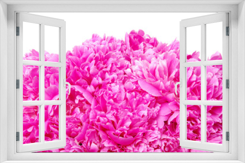Fototapeta Naklejka Na Ścianę Okno 3D - Beautiful pink peonies.