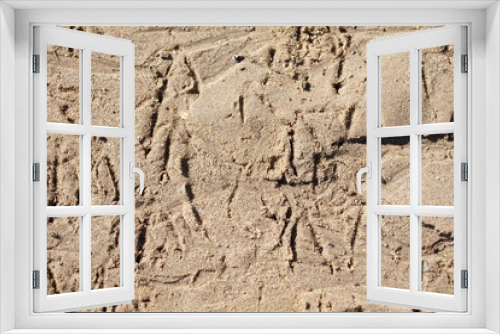 Fototapeta Naklejka Na Ścianę Okno 3D - Fußspuren von Möwen, Strand, Sandfläche, Deutschland