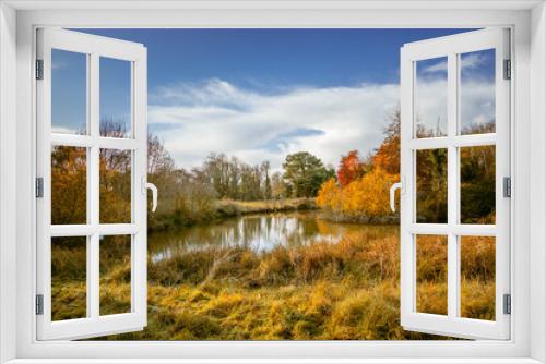 Fototapeta Naklejka Na Ścianę Okno 3D - Autumnal landscape on a sunny day with a pond and multicolored trees in France