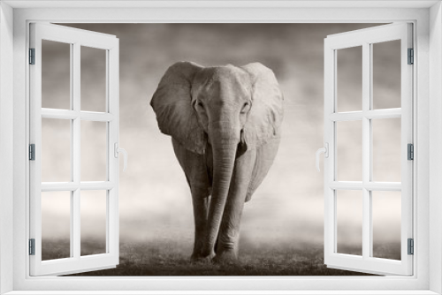 Fototapeta Naklejka Na Ścianę Okno 3D - Elephant