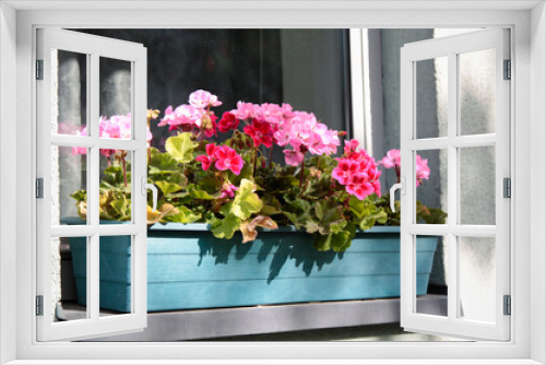 Fototapeta Naklejka Na Ścianę Okno 3D - Flowers in a wooden pot decorating a window. Selective focus