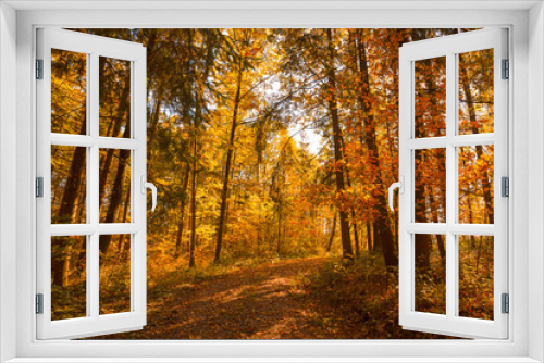 Fototapeta Naklejka Na Ścianę Okno 3D - Die Jahreszeit Herbst, goldener Oktober,  Wald mit Herbst Laub und romantischen Pfad