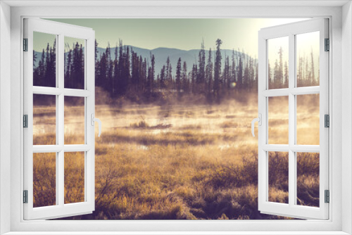 Fototapeta Naklejka Na Ścianę Okno 3D - Autumn meadow