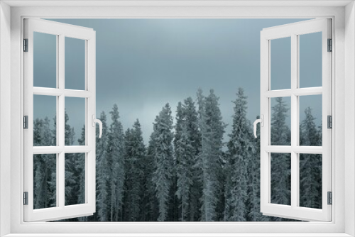 Fototapeta Naklejka Na Ścianę Okno 3D - Tree-cicles