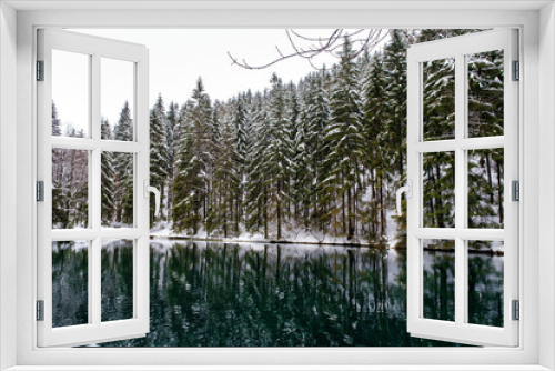 Fototapeta Naklejka Na Ścianę Okno 3D - Lake in winter forest. Pine forest is on background. Germany.