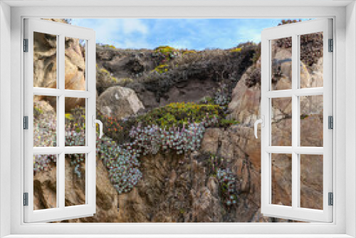 Fototapeta Naklejka Na Ścianę Okno 3D - Colorful succulents growing on cliff near Big Sur California coast