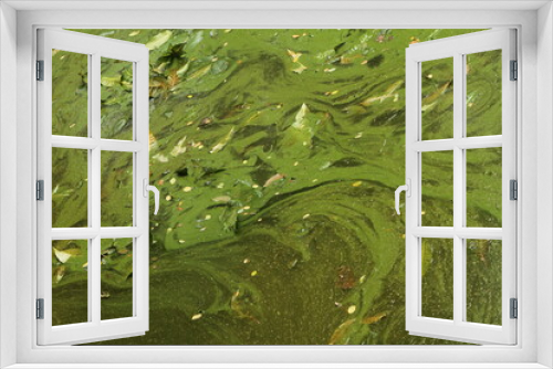 Fototapeta Naklejka Na Ścianę Okno 3D - background of leaf litter
