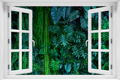 Fototapeta Naklejka Na Ścianę Okno 3D - Full Frame of Green Leaves Pattern Background, Nature Lush Foliage Leaf Texture, tropical leaf