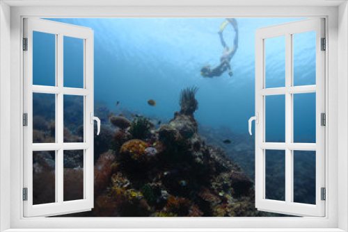 Fototapeta Naklejka Na Ścianę Okno 3D - Freediver