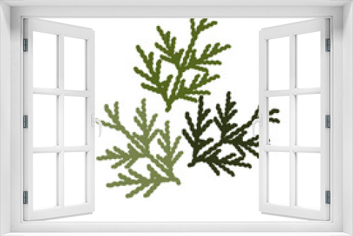 Fototapeta Naklejka Na Ścianę Okno 3D - Vector illustration of thuja in flat style. Merry Christmas. The thuja isolated on white background.