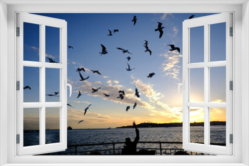 Fototapeta Naklejka Na Ścianę Okno 3D - seagulls at sunset