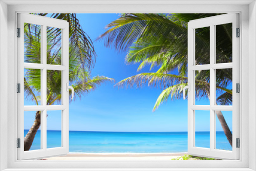 Fototapeta Naklejka Na Ścianę Okno 3D - two palms