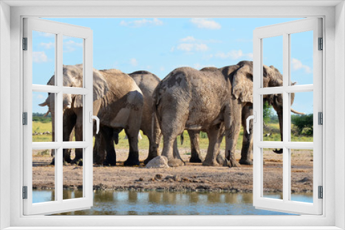 Fototapeta Naklejka Na Ścianę Okno 3D - Nxai pan elephants in Botswana