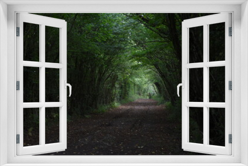 Fototapeta Naklejka Na Ścianę Okno 3D - a walk along Wenlock edge in Shropshire