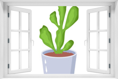 Fototapeta Naklejka Na Ścianę Okno 3D - Cactus plant flat illustration, editable design 