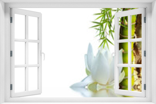 Fototapeta Naklejka Na Ścianę Okno 3D - bambou asiatique et lotus blanc
