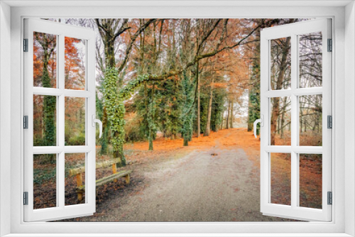 Fototapeta Naklejka Na Ścianę Okno 3D - Forest on an Autumn day with fallen leaves on the ground with a wooden bench