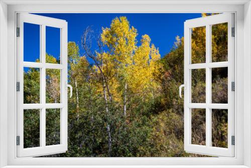 Fototapeta Naklejka Na Ścianę Okno 3D - Yellow Aspens Outside of Oakcreek Colorado