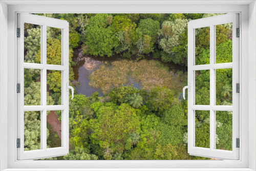 Fototapeta Naklejka Na Ścianę Okno 3D - Forest AMAZONAS Lake  water Landscape Nature River Forest Travel