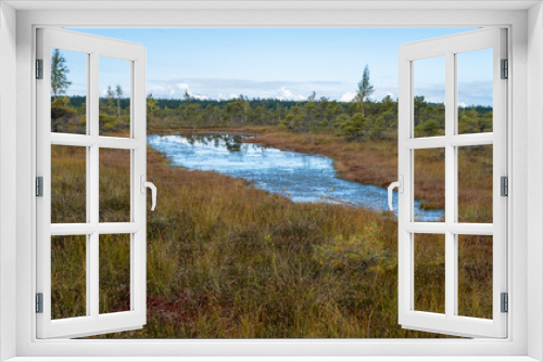 Fototapeta Naklejka Na Ścianę Okno 3D - Kemeru, National Nature Park. A wooden path through marsh wetlands with small pines, bog plants and ponds. Hiking route for outdoor activities and a healthy lifestyle.