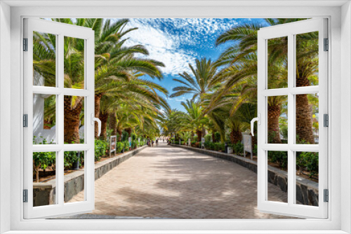 Fototapeta Naklejka Na Ścianę Okno 3D - Beautiful park alley with green palm trees in the summer season on Gran Canaria island in Spain - Europe