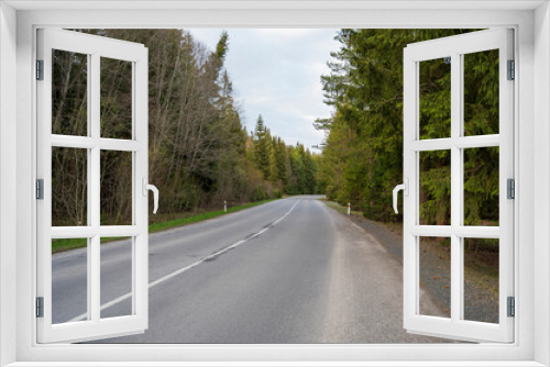 Fototapeta Naklejka Na Ścianę Okno 3D - Empty asphalt road in nice peaceful coniferous forest.