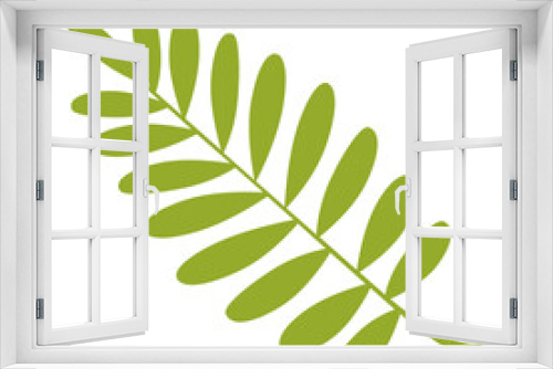 Fototapeta Naklejka Na Ścianę Okno 3D - grass, leaves, leaf, palm, tree, dry leaf