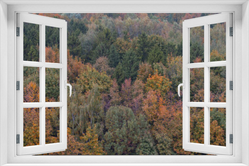Fototapeta Naklejka Na Ścianę Okno 3D - Autumn trees top view. Yellowed tree crowns, golden autumn