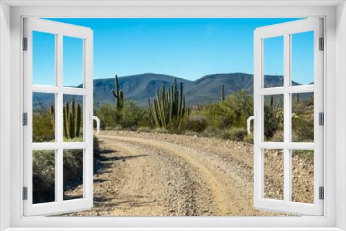 Fototapeta Naklejka Na Ścianę Okno 3D - A long way down the road going to Organ Pipe Cactus NM, Arizona