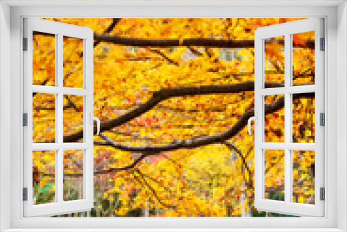 Fototapeta Naklejka Na Ścianę Okno 3D - 紅葉の下のベンチ