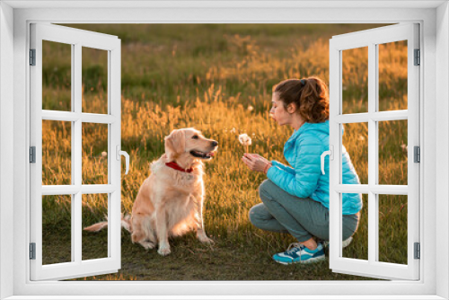 Fototapeta Naklejka Na Ścianę Okno 3D - young girl with big golden retriever dog and dandelion on grassland