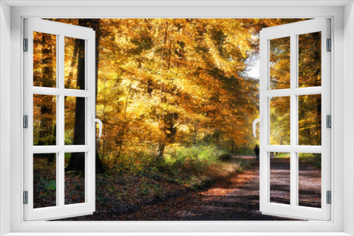 Fototapeta Naklejka Na Ścianę Okno 3D - Die schöne Seite im Oktober